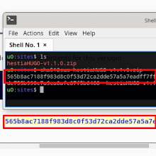 Screenshot of Comparing SHASUM Values